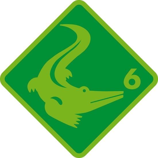 Image sur Krokodil