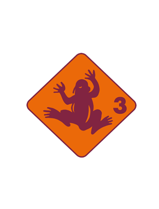 Immagine di Ferienkurs Frosch