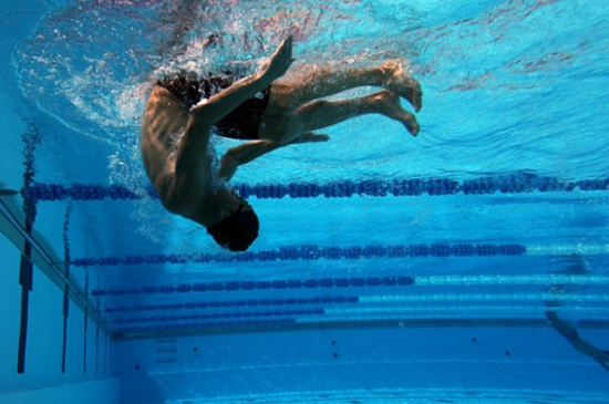 Picture of Crawl Rollwende 60'